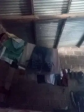 Lucy-Ferr online show from February 11, 3:50 pm