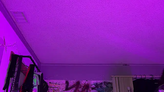 xoFrankie online show from November 16, 5:13 am