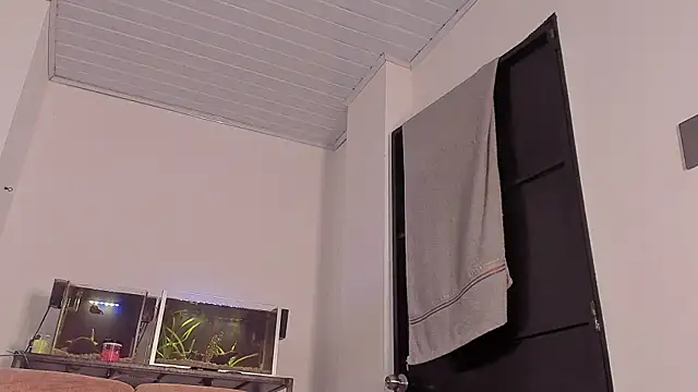 Cj davis  online show from December 3, 2:04 pm