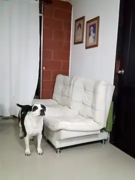 Isbettyche online show from February 11, 11:54 pm