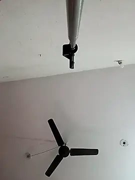 Appypie online show from November 9, 6:44 am