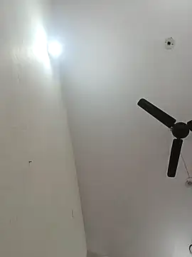 Appypie online show from December 3, 7:38 am