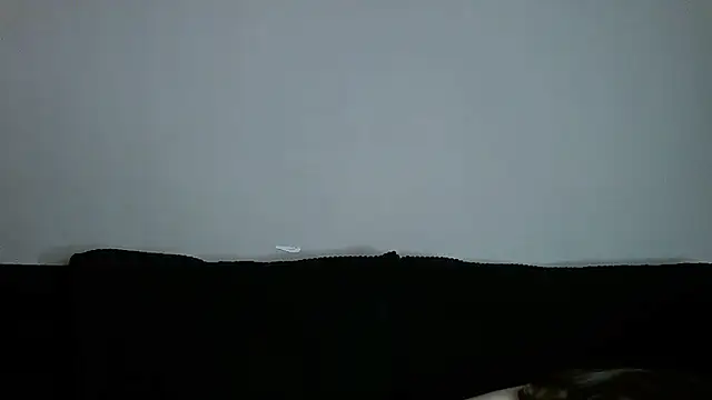   Leyla   online show from November 19, 8:42 pm