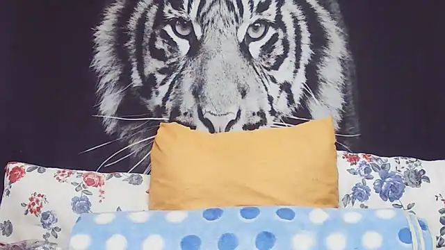 Snapshot of SweetPortableAmber chatting on March 17, 11:35 am SweetPortableAmber online show from March 17, 11:35 am