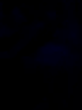 Snapshot of changavega chatting on October 31, 12:44 am changavega online show from October 31, 12:44 am