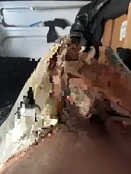 Snapshot of markusnumberone chatting on April 6, 12:17 pm markusnumberone online show from April 6, 12:17 pm