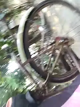 lobmondal250 online show from October 30, 11:33 am