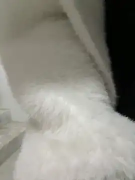 Cumonmme online show from January 18, 8:23 pm