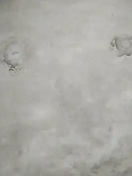 Snapshot of kute-00 chatting on February 8, 1:53 am kute-00 online show from February 8, 1:53 am