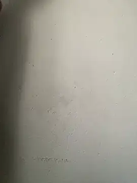 Dickssnake online show from February 12, 9:26 am