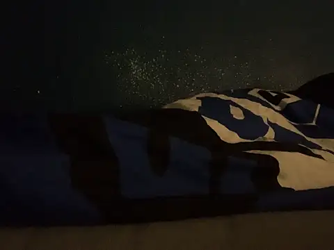 Snapshot of GeilerHSVFAN1989 chatting on September 14, 4:11 am GeilerHSVFAN1989 online show from September 14, 4:11 am