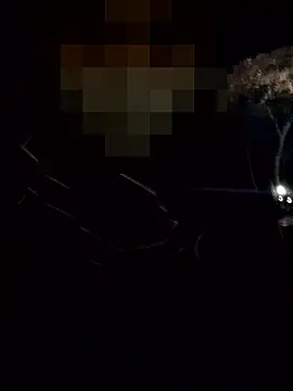 thcn12345 online show from December 3, 10:02 am