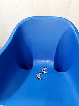 Snapshot of siya_rani67 chatting on September 14, 3:38 am siya rani67 online show from September 14, 3:38 am