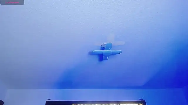  Charlotte Collins  online show from March 7, 2:14 pm