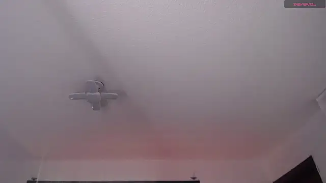  Charlotte Collins  online show from March 22, 2:20 pm