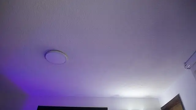  Charlotte Collins  online show from April 29, 2:54 pm