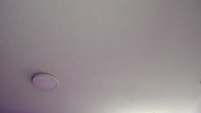  Charlotte Collins  online show from May 8, 3:06 pm