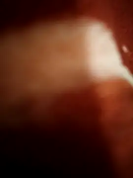 sexy  girls98 online show from November 8, 11:47 pm