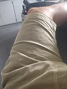 stunning stallion online show from April 19, 2:05 pm