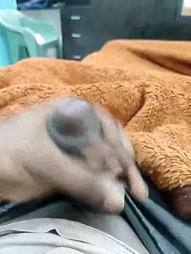 Yourminal online show from October 5, 2:26 pm