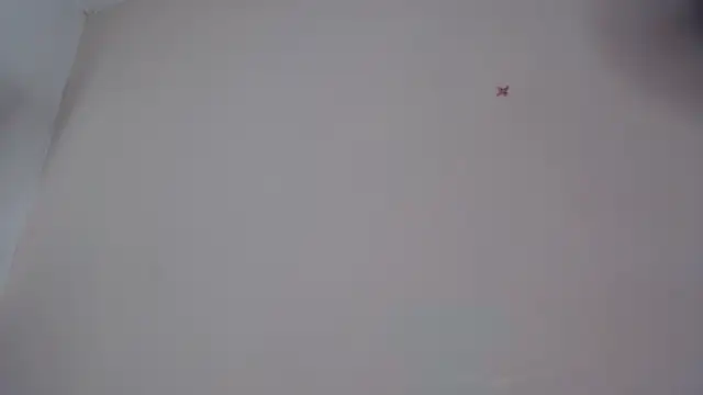 akisha lims26 online show from October 4, 1:09 pm