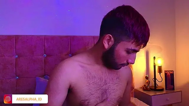 Ares Alpha online show from October 1, 8:04 pm