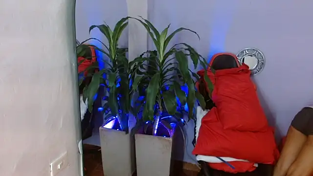 ivy scorpio online show from October 15, 5:51 am