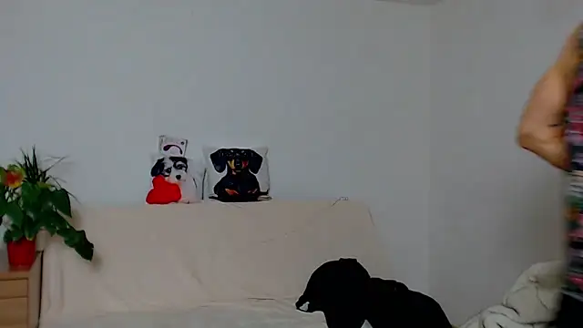 ZeinMiracles online show from November 29, 8:23 pm