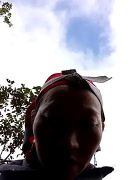 tcm-cute online show from November 6, 2:34 am