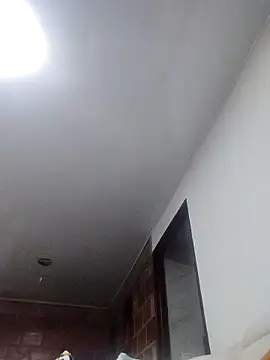 Perropa online show from March 14, 1:23 am