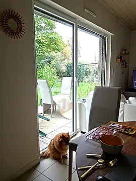 CornetDeGlace online show from October 31, 11:55 am