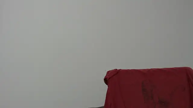 Rocky Muscle online show from February 5, 4:50 am