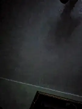 Snapshot of Ricotta1 chatting on January 19, 7:01 am Ricotta1 online show from January 19, 7:01 am