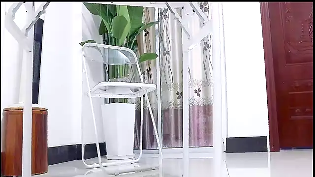 Tianxin6 online show from December 17, 3:34 am