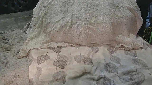 Gmajor online show from March 15, 12:38 am