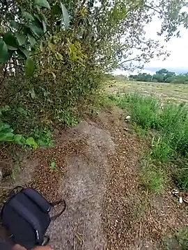 Snapshot of magraocam chatting on November 6, 4:08 pm magraocam online show from November 6, 4:08 pm