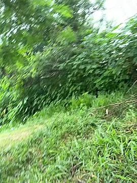 magraocam online show from March 19, 2:21 pm