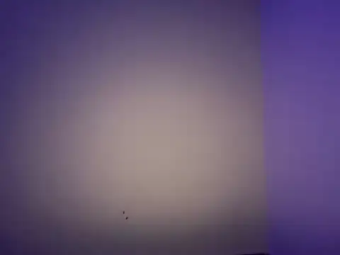 LustyDuoSecrets online show from November 11, 6:19 pm