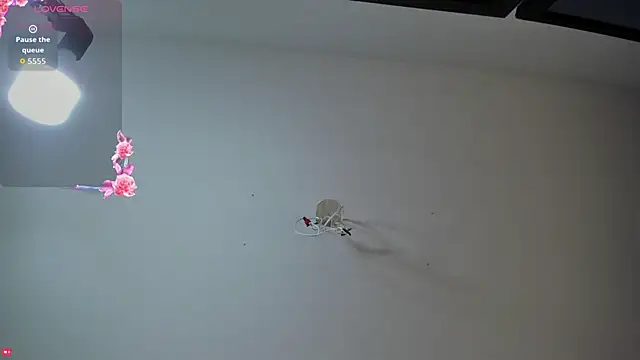 Ashleymorgan vc online show from September 16, 8:21 pm