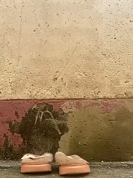 Snapshot of Crazyqueenxxx chatting on December 19, 12:01 pm Crazyqueenxxx online show from December 19, 12:01 pm