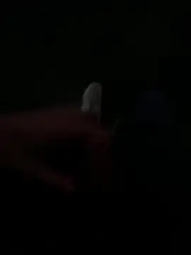 Luck  090 online show from September 19, 11:16 pm