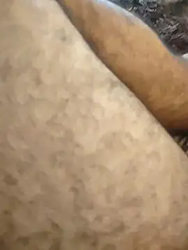 Novin23cms online show from February 12, 12:22 pm