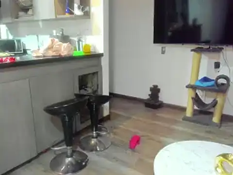 Snapshot of celeste_pervert chatting on February 15, 1:53 am celeste pervert online show from February 15, 1:53 am