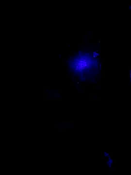 Snapshot of johnboones10 chatting on October 22, 9:42 am johnboones10 online show from October 22, 9:42 am