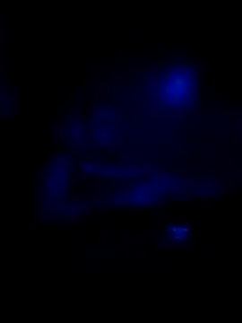 Snapshot of johnboones10 chatting on November 16, 8:31 am johnboones10 online show from November 16, 8:31 am