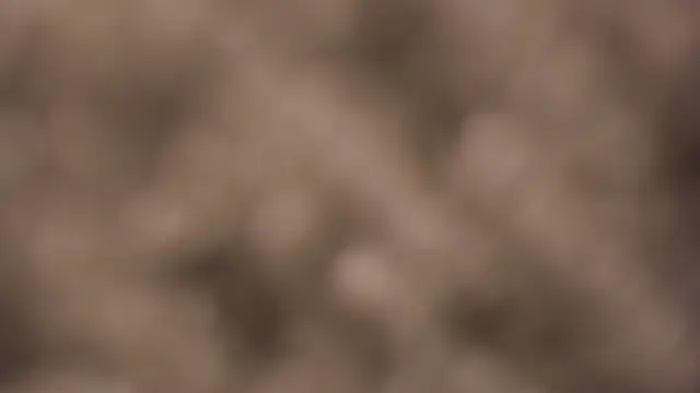 lauren bigboobs22 online show from March 4, 6:14 pm