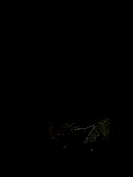 Adele Pinkk online show from October 7, 12:02 pm