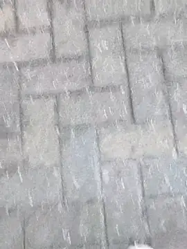 Snapshot of boxerundsocken91 chatting on March 9, 5:17 pm boxerundsocken91 online show from March 9, 5:17 pm