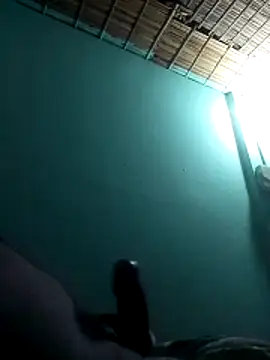 bappyandbanulove online show from November 27, 5:59 pm