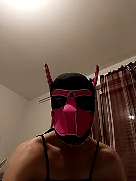 Puppydog33 online show from October 29, 8:54 pm